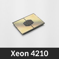 [3년 A/S 벌크 국내 발송] 인텔 제온 스케일러블 실버 4210 (캐스케이드레이크) 이그닉