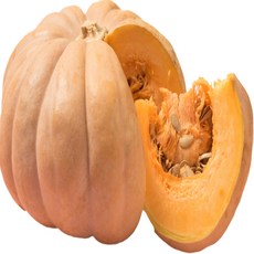 싱싱한 늙은호박 신선농장, 3kg이상, 1개