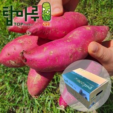 익산원예농협수박