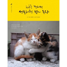 하루를 견디면 선물처럼 밤이 온다. (고양이는 고양이다. 1):외롭고 높고 쓸쓸한 길고양이와 우리들을 위한 사진 에세이, 이상미디어