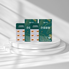 씨스팡 관절팔팔 310mg 30캡슐 x 2개, 30정