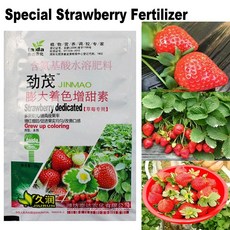 딸기상토