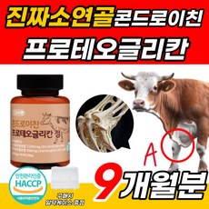 소연골 관절엔 콘드로이친 콘도로친 1200 맥스 프로테오글리칸 관첸 콴첸 소유래 콘드레이친 관첼 소 콘도로이친 남자 여자 무릎 어깨 허리 발목 손목 뼈 관절 연골 건강 콘드리친, 9개, 60정