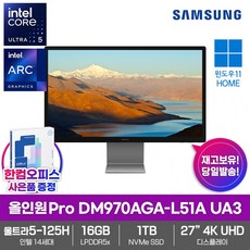 삼성 올인원 PRO DM970AGA-L51A UA3 SSD1TB 16GB램 인텔 울트라5 125H Win11Home 27형 4K UHD 일체형 PC