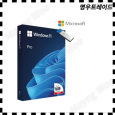 마이크로소프트 윈도우 11 프로 처음사용자용 한글 패키지 PKC WINDOWS 11 PRO FPP 윈11프로 국내정발