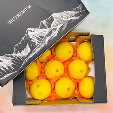 산지직송 프리미엄 제주 황금향 선물세트, 1box, 1kg 대과(3-5과) 가