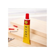 돼지표본드