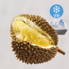 [최저가도전] 태국 냉동 통 두리안 특사이즈 frozen durian, 2.5kg (로얄과 1과), 1개