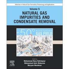 (영문도서) Advances in Natural Gas: Formation Processing and Applications. Volume 5: Natural Gas Impur... Paperback, Elsevier, English, 9780443192234