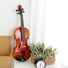 티커스텀바리우스6