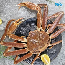 직수입 꽉찬 수율 러시아산 활 대게 주에 2회 수입, 1개, 1~1.1kg
