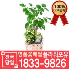 미용실개업화분