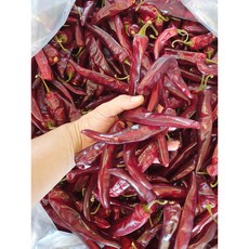 고추 햇 건고추 세척 홍고추 청양초 국산 24년 600g, 세척건고추(꼭지달림)보통맛 600g