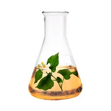 독소배출화장품