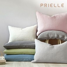 쁘리엘르마일드피그먼트