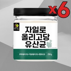 6개 묶음 자일로 올리고당 유산균 분말 250g 설탕대신 제로슈가 자일란 가