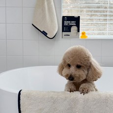 MONTTEAN 몽트앙 퀵드라이 펫타올 초극세사 강아지 고양이 전용 목욕 타올 담요