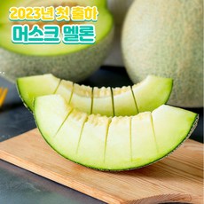 칸탈로프멜론-추천-상품