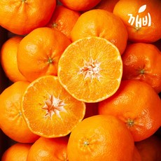 제주깨비농원 첫 수확 제주 햇 레드향 1.5kg 2.5kg, 1.레드향 1.5kg 소과(9-12과), 1개