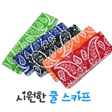 보리보리쿨스카프