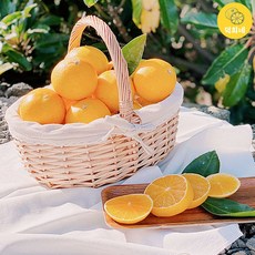 덕희네 GAP 인증 제주도 산지직송 노지감귤 중과 대과 1kg, FT102.중과대과_1kg, 상세페이지 참조