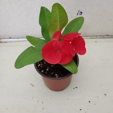 ada9c718b336c97cd11ca128b183542a4ed3212021ab63d6b79835c65cf5.jpg