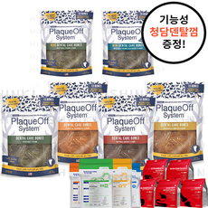 프로덴 플라그오프 덴탈케어본 강아지 입냄세 제거 치석제거 양치껌, 야채 482g+청담덴탈껌2개