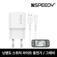 닌텐도라이트충전기