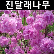 ebb69da022b72979366f2bd6eb0fd701998b3cf553164c515c3479dabcfe.jpg