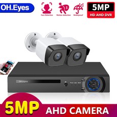 영어 설명서 8채널 5MP CCTV DVR 보안 카메라 시스템 키트 실내 운동 감지 영상 감시 카메라 시스템 키트 8CH XMEYE DVR 세트, 없다, 유럽 연합 플러그, 8채널 dvr 카메라 2개, 1개