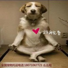 c728394cf6b637b1aebc1d2469e6fa29cec567b08d51a30038a7282f6149.jpeg