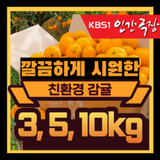 제주노지감귤 [인간극장 귤밭으로 간 한의사] 제주 감귤 깔끔하고 시원한 친환경 인증 감귤 무농약 선물용 가정용 현왕귤집 5kg