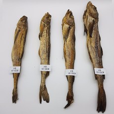 용대리 통황태 10미, 10마리, 8통 80g(1미)
