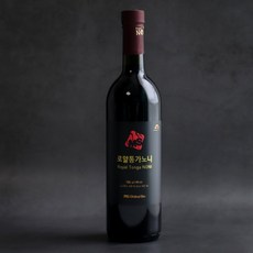 통씨통가