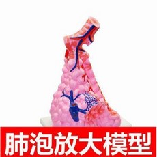 8f68174133405fb4d7a53191514e17ed615a26ff33845ba9722192ebd3b5.jpeg