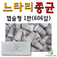 [23년 버섯종균 판매점] 느타리 버섯 종균 캡슐형 1판 606알 접종형 나무 접종형 성형 버섯, 1개
