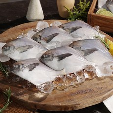 마시따구 국내산 비늘손질 병어 냉동보관, 10개, 약110g내외