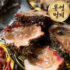 [간이베어] 국내산 통영 자연산 보물 돌멍게 당일채취 산지직송, 8개, 1kg(8-13미)