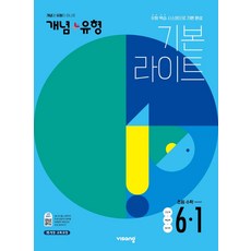 개념유형기본라이트6-2