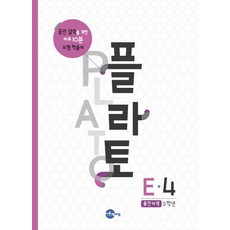 플라토도형e