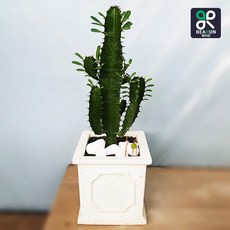 청하각