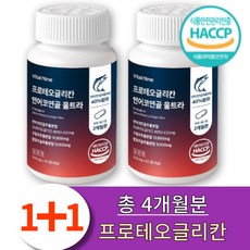 영밸런스 프로테오글리칸 연여코연골, 1개, 120정