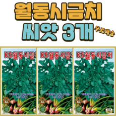 월동 시금치 씨앗 3개 재래종맛 겨울시금치 채소 씨 종자