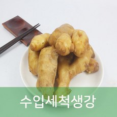 생강의힘