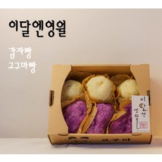 강원도 영월 감자 고구마빵 세트 (6개입) 1박스