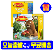 bose컴패니언