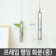 //상품명