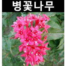 497c8e74ead4024b696f6b8a46e6121ef5e5275f9a02c5b72107384be2da.jpg