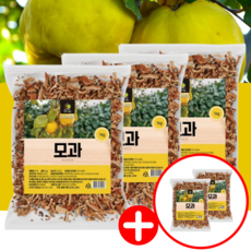 말린 국산 모과 차 1kg 5팩 총 5kg 대용량, 1세트