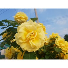 b1a425d22c9b7ceb7fc9cb1cccf76b5ef89876ec76d4987a46de58682207.jpg